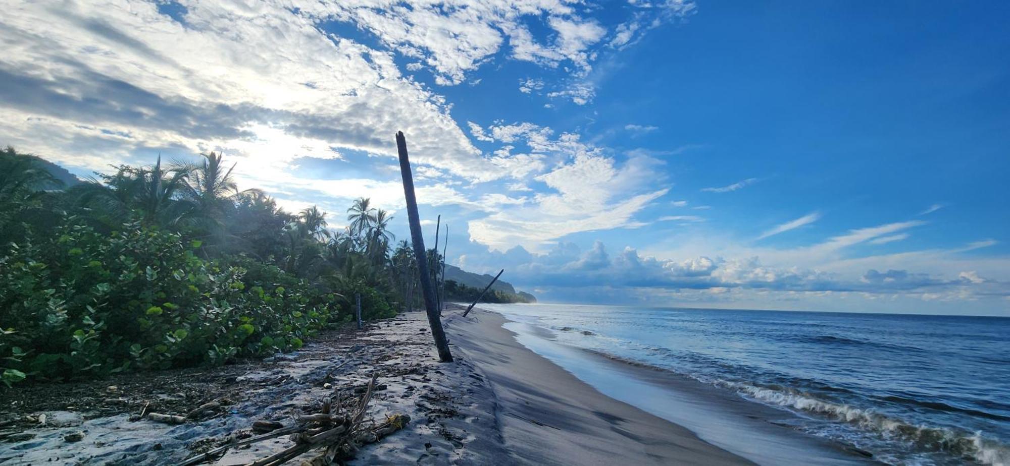 Nueva Onda Bed & Breakfast ปาโลมิโน ภายนอก รูปภาพ