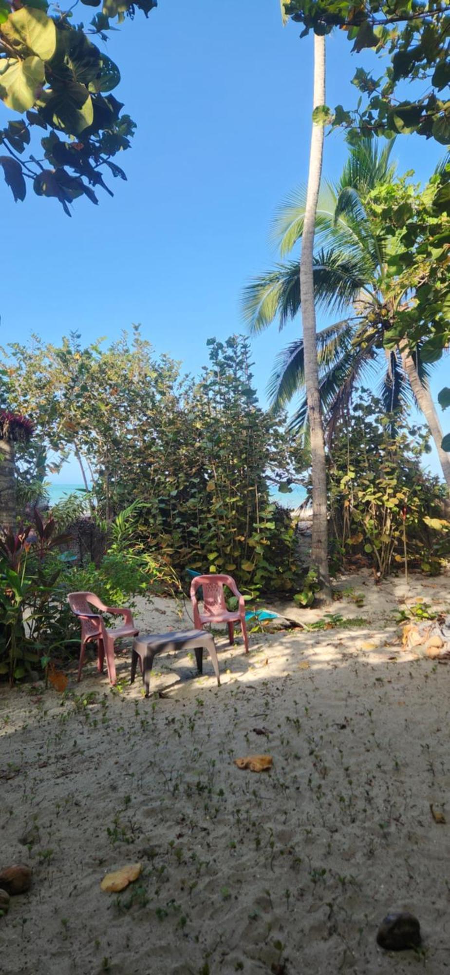 Nueva Onda Bed & Breakfast ปาโลมิโน ภายนอก รูปภาพ